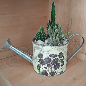 Regadera de Cactus